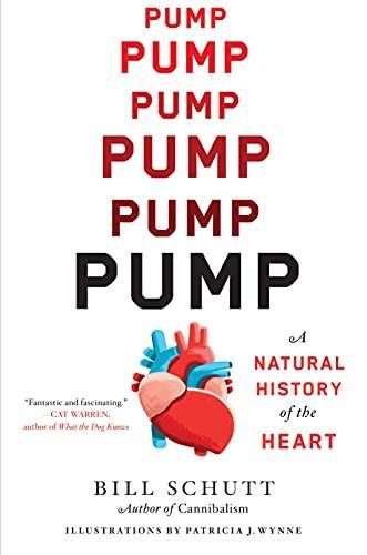 Pump