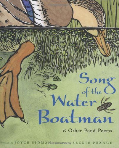 Song of the Water Boatman