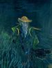 A Victim of Anonymity