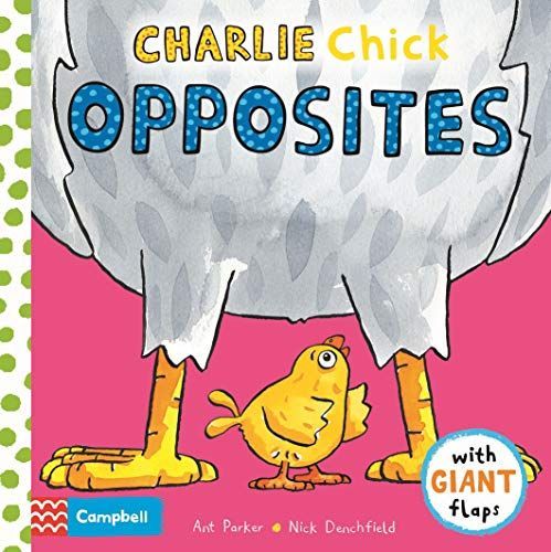 Charlie Chick Opposites