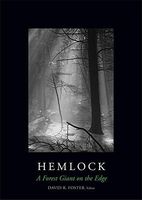 Hemlock