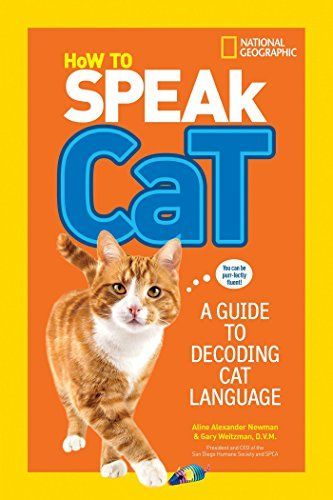 How to Speak Cat