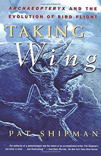 Taking Wing