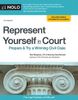 Represent Yourself in Court