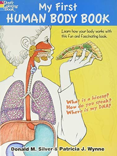 My First Human Body Book