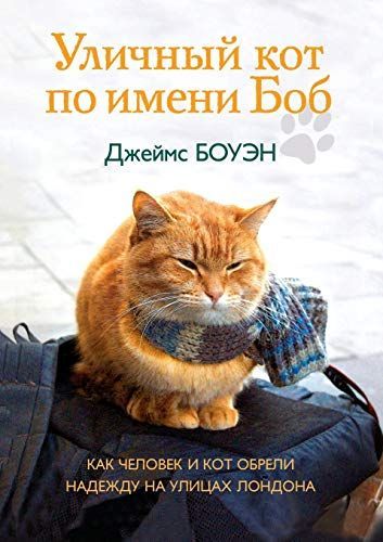 Уличный кот по имени Боб