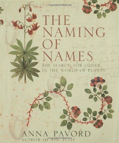 The Naming of Names