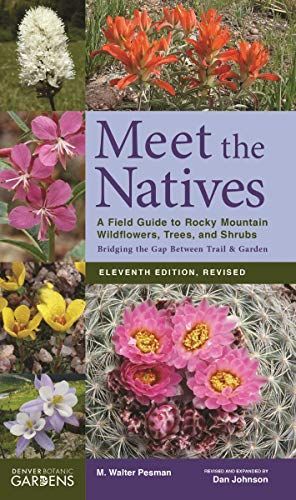 Meet the Natives