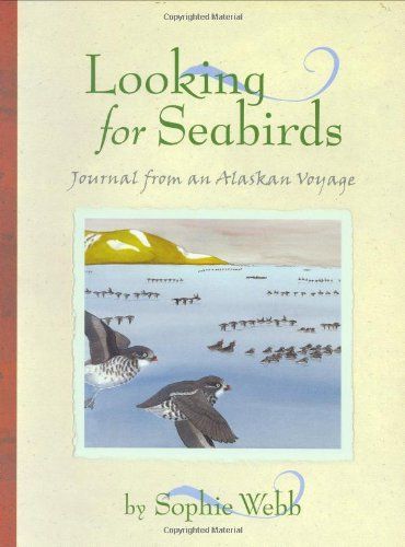 Looking for Seabirds