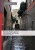 Thematic Prosecution of International Sex Crimes (Second Edition)