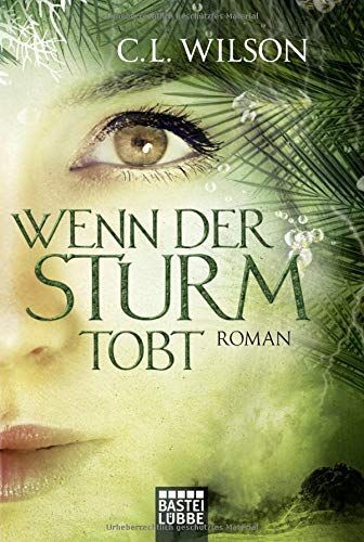 Wenn der Sturm tobt