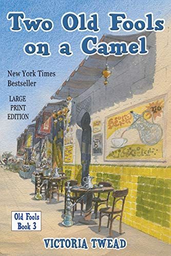 Two Old Fools on a Camel - LARGE PRINT