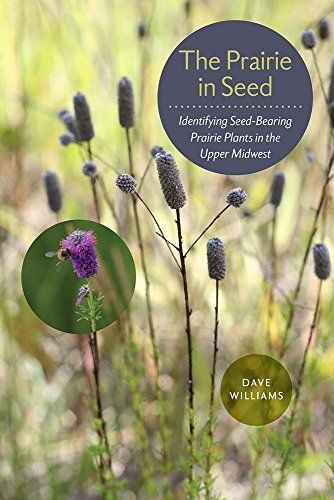 The Prairie in Seed