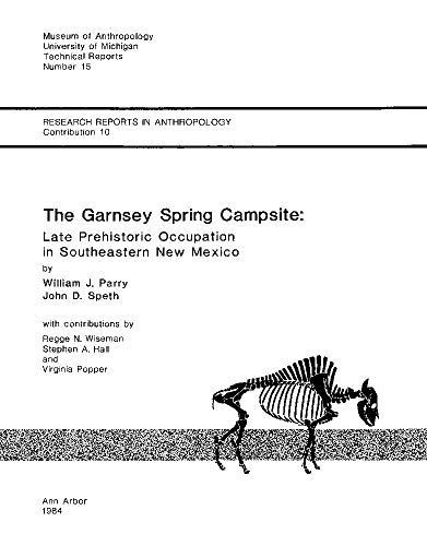 The Garnsey Spring Campsite