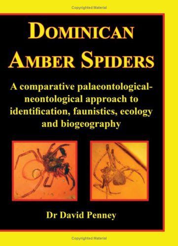 Dominican Amber Spiders