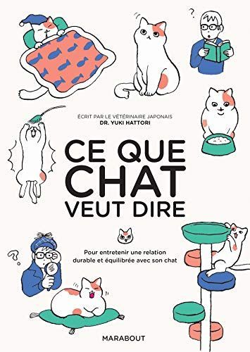 Ce que chat veut dire