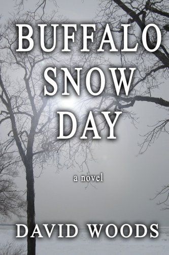 Buffalo Snow Day