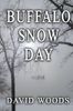 Buffalo Snow Day