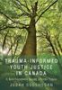 Trauma-Informed Youth Justice