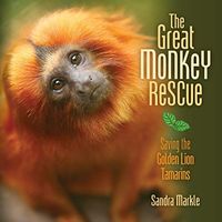 The Great Monkey Rescue