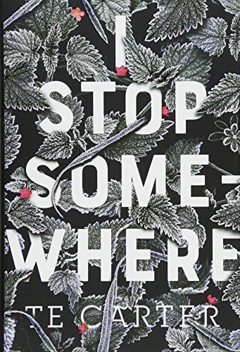 I Stop Somewhere