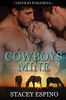 Cowboys Mine
