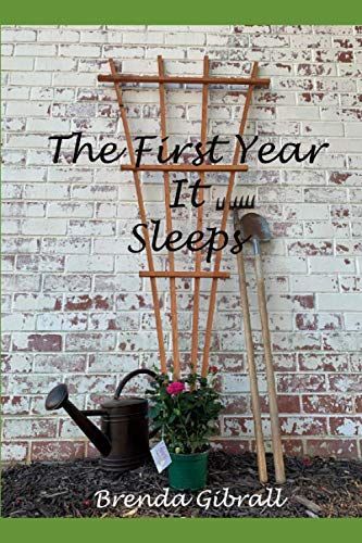 The First Year It Sleeps