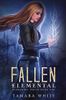 Fallen Elemental