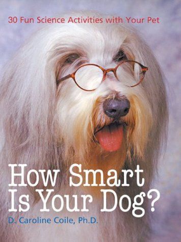 How Smart Is Your Dog?