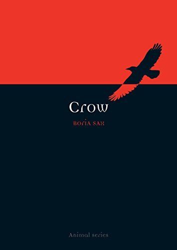 Crow