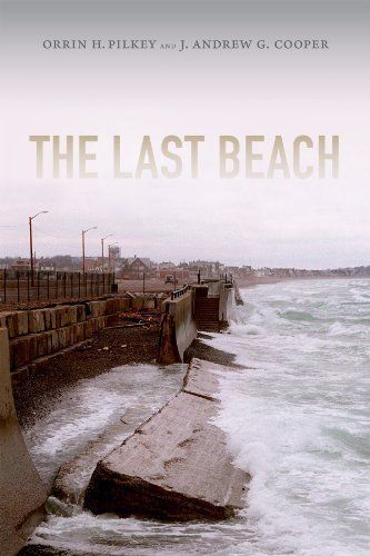 The Last Beach