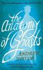 The Anatomy of Ghosts