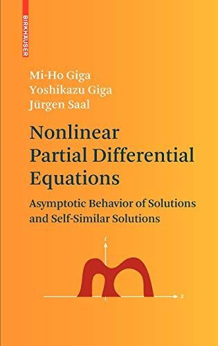 Nonlinear Partial Differential Equations