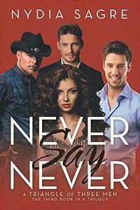 Never Say Never: A Triangle of Three Men The Third book in a Trilogy