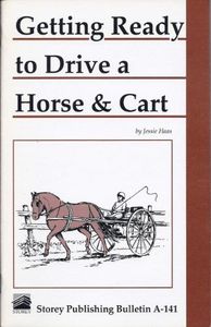 Getting Ready to Drive a Horse & Cart