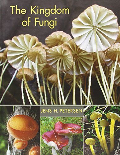 The Kingdom of Fungi