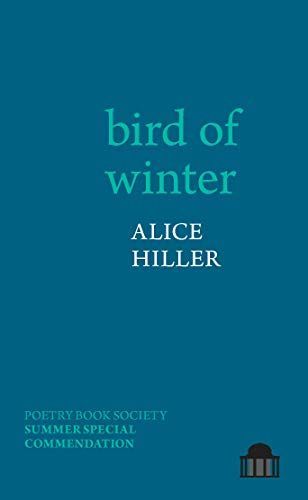 Bird of Winter