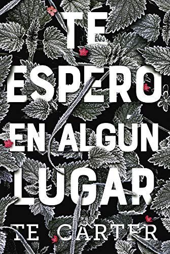 Te Espero En Algún Lugar