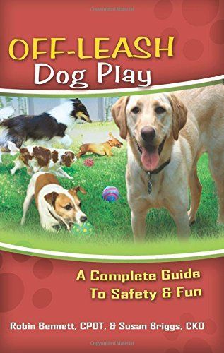 Off-Leash Dog Play