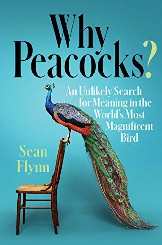 Why Peacocks?