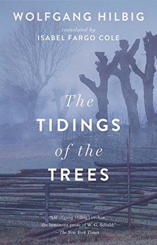 Tidings in the Trees