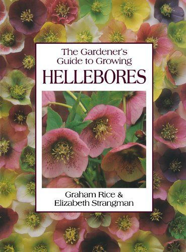 Gardener's Guide to Growing Hellebores