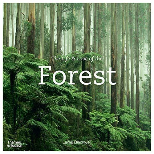 The Life and Love of the Forest