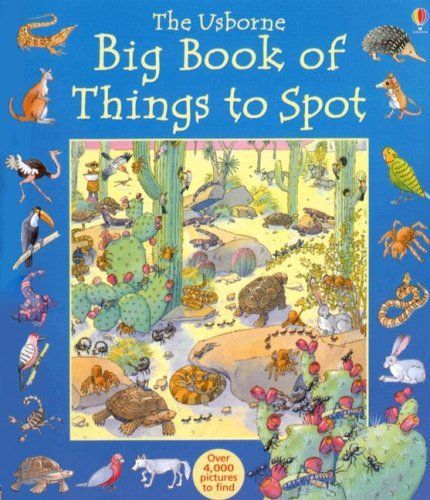 The Usborne Big Book of Things to Spot