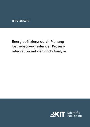 Energieeffizienz durch Planung betriebsübergreifender Prozessintegration mit der Pinch-Analyse