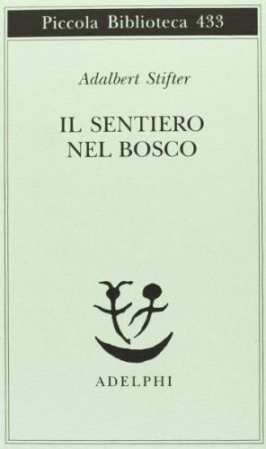 Il sentiero nel bosco