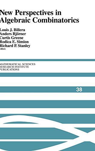 New Perspectives in Algebraic Combinatorics