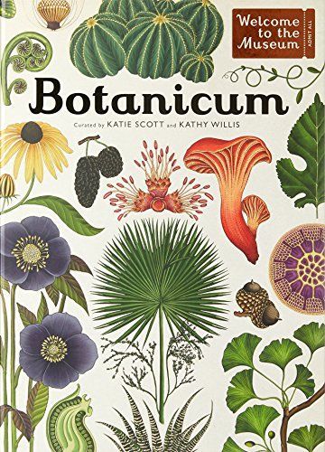 Botanicum - Welcome to the Museum