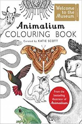 Animalium Colouring Book