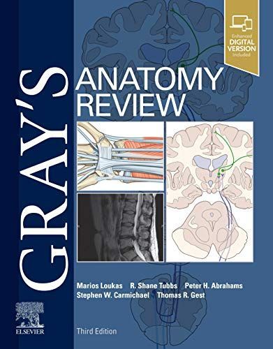 Gray's Anatomy Review